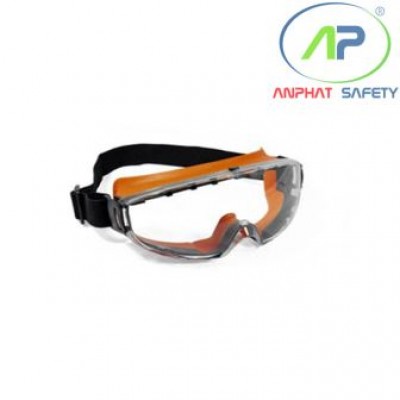 Kính chống hoá chất Proguard SG-355